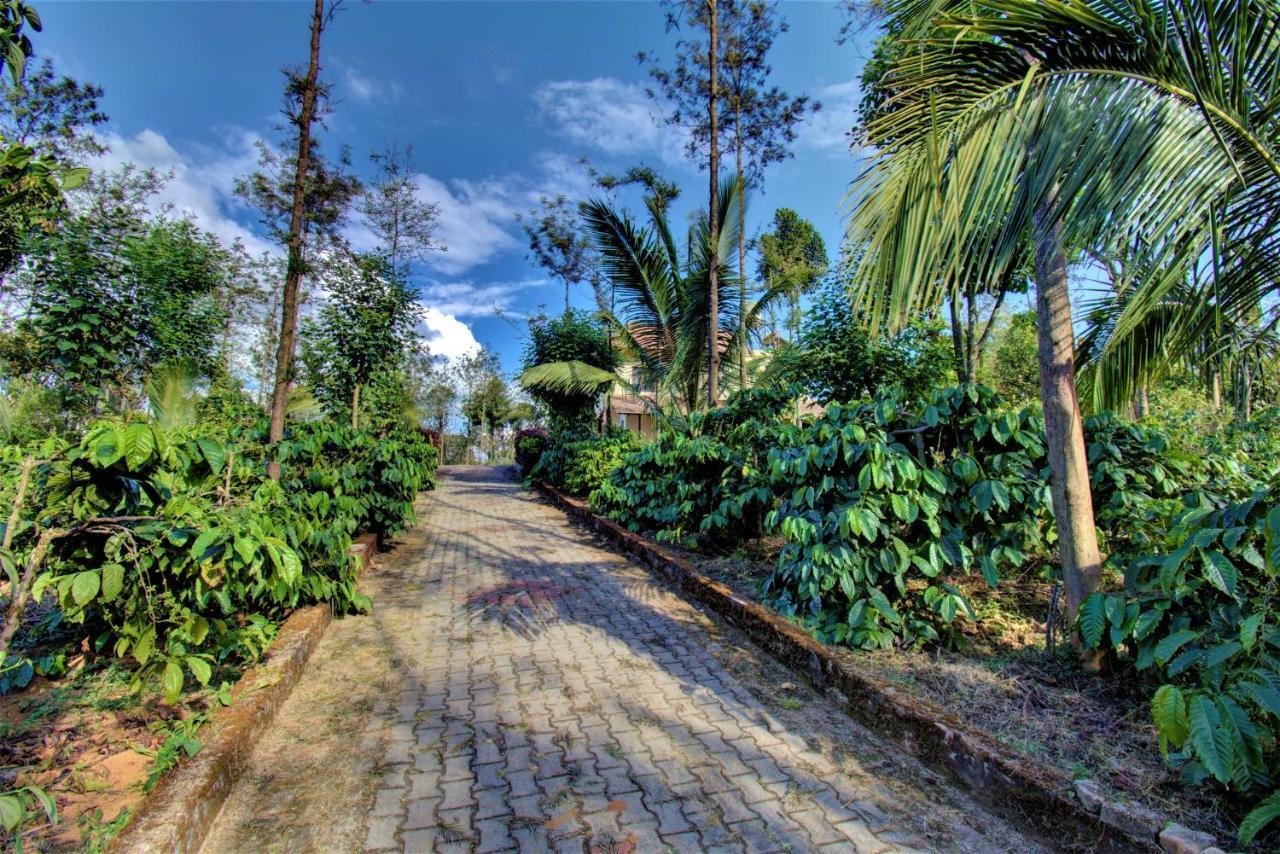 Coorg Bliss Estate Stay Madikeri Exterior photo